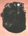 Гламурная шубка из искусственного меха с длинным ворсом, воротник украшен атласным бантом с большим камнем,размер - той-терьер,йорк(и другие)
